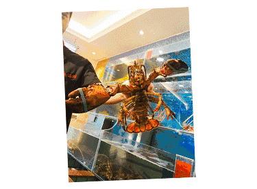 【時代儒商】膠東碼頭海鮮城淮揚菜、魯菜、海鮮超多美味！滿足您的味蕾~~