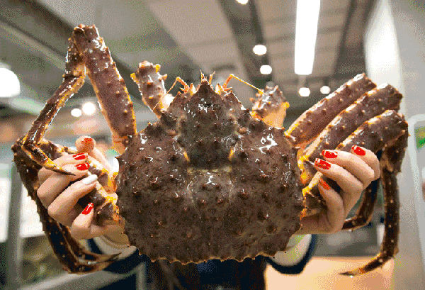 【時代儒商】膠東碼頭海鮮城淮揚菜、魯菜、海鮮超多美味！滿足您的味蕾~~