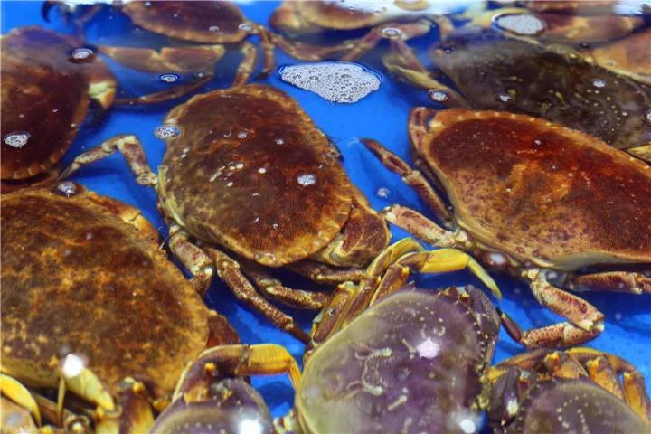 【時代儒商】膠東碼頭海鮮城淮揚菜、魯菜、海鮮超多美味！滿足您的味蕾~~