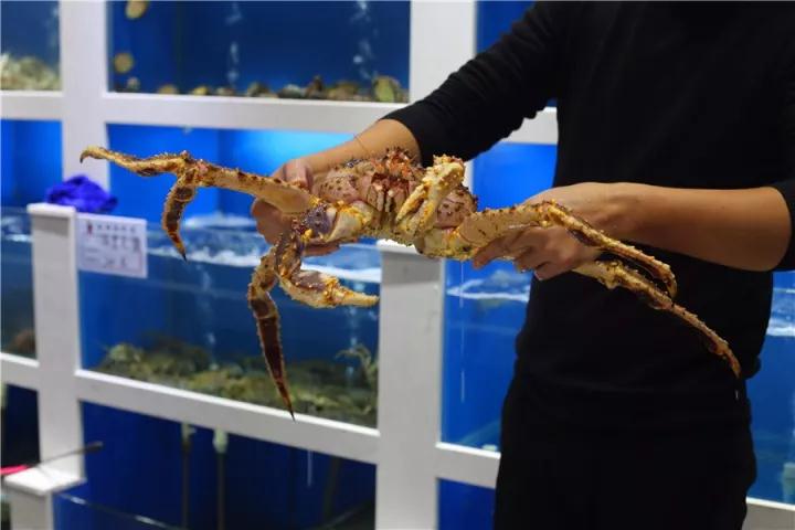 【時代儒商】膠東碼頭海鮮城淮揚菜、魯菜、海鮮超多美味！滿足您的味蕾~~