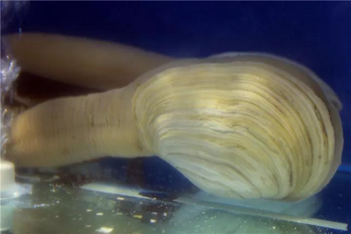 【時代儒商】膠東碼頭海鮮城淮揚菜、魯菜、海鮮超多美味！滿足您的味蕾~~