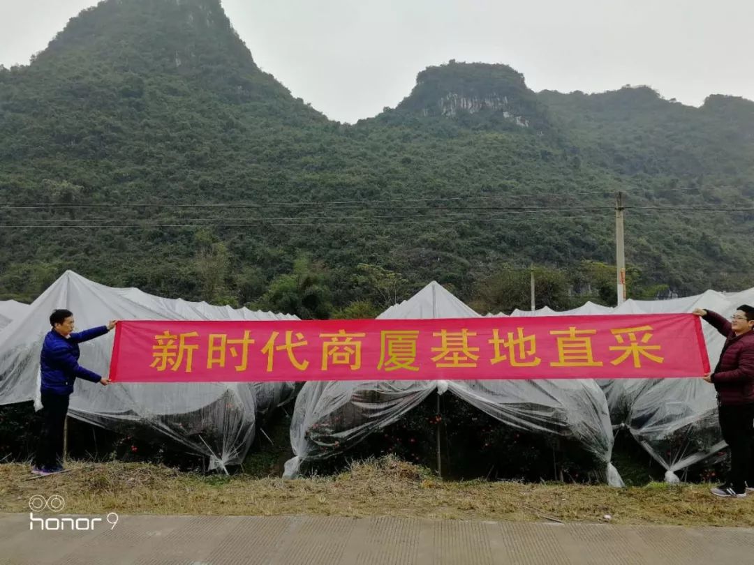 新時代商廈｜誠信315 信用讓消費更放心！