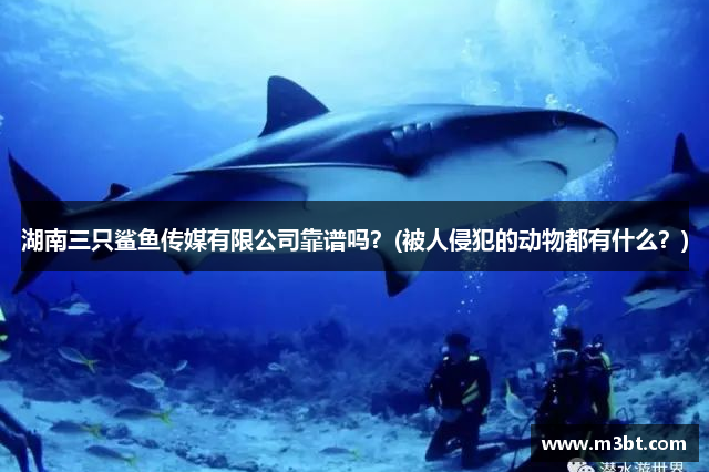 湖南三只鲨鱼传媒有限公司靠谱吗？(被人侵犯的动物都有什么？)