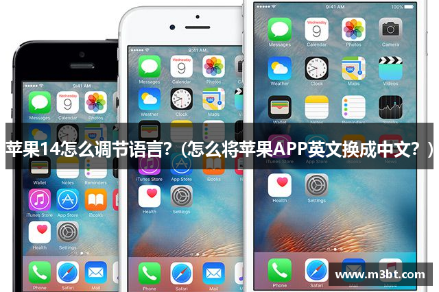 苹果14怎么调节语言？(怎么将苹果APP英文换成中文？)